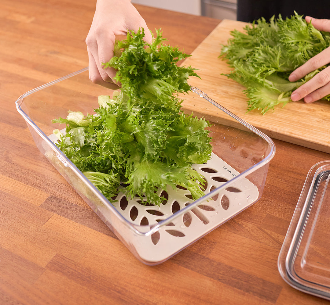 Latchlok 系列 TRITAN 保鮮盒