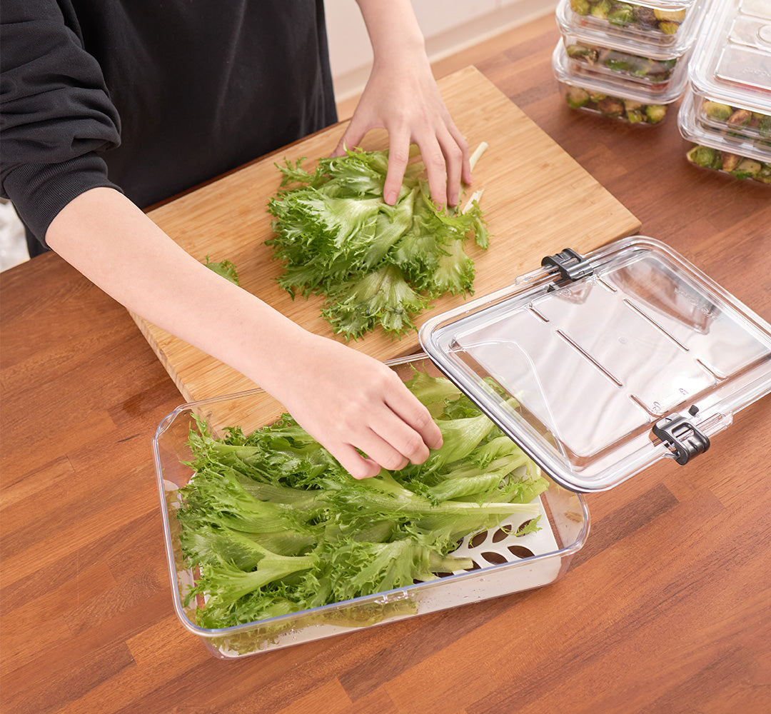 Latchlok 系列 TRITAN 保鮮盒