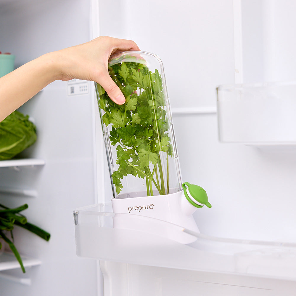 香草植物保鮮盒(2號)