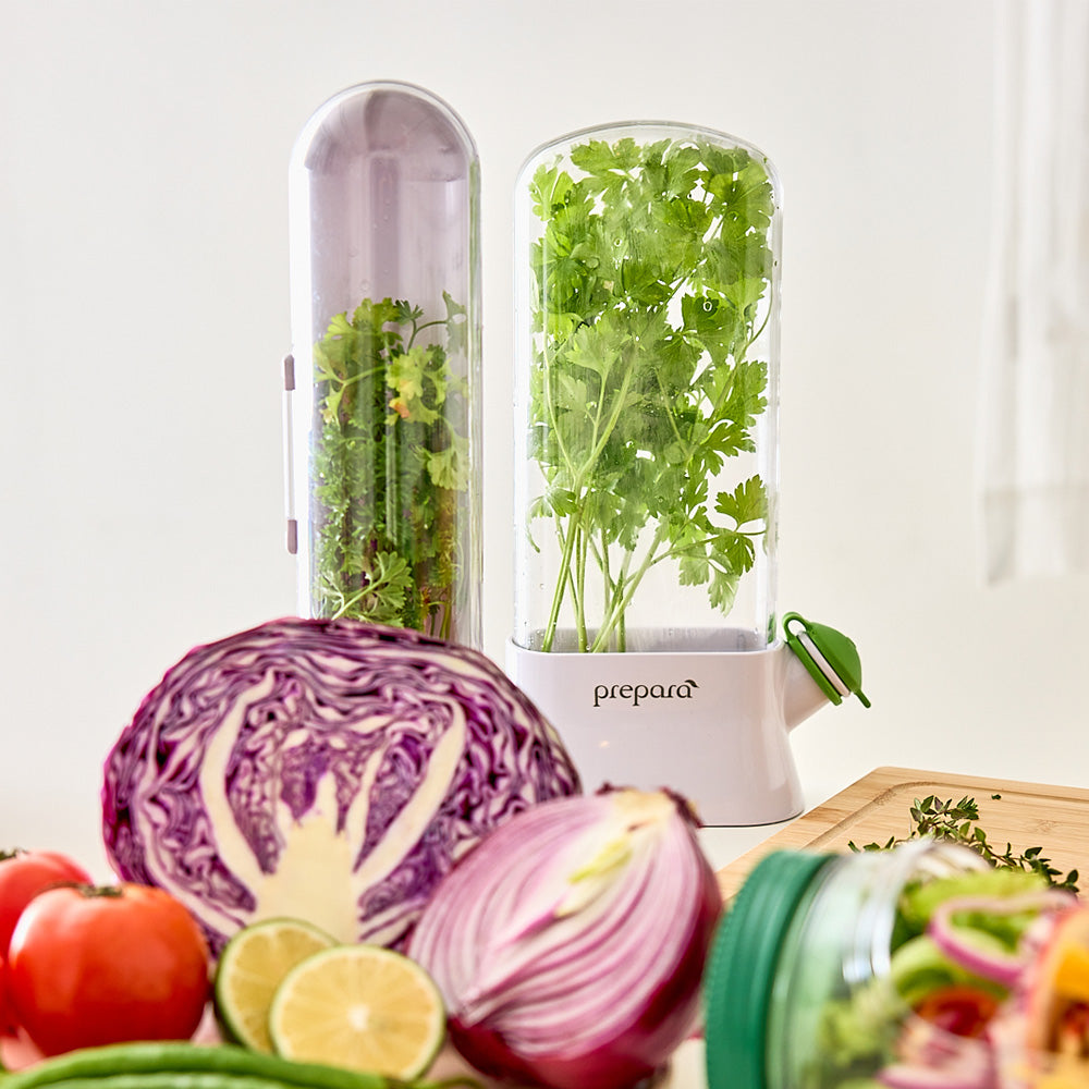 香草植物保鮮盒(2號)